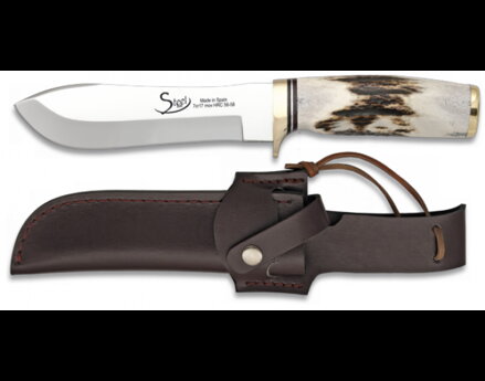 Szarvasbika 31911 aganccsal, bőr tokban