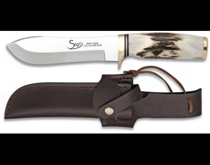 Szarvasbika 31911 aganccsal, bőr tokban