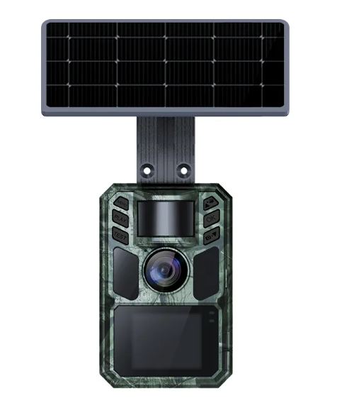 Wachman Alfa Live 4G